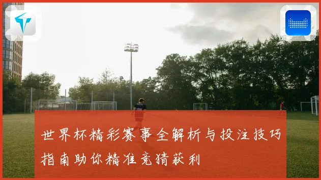 世界杯精彩赛事全解析与投注技巧指南助你精准竞猜获利